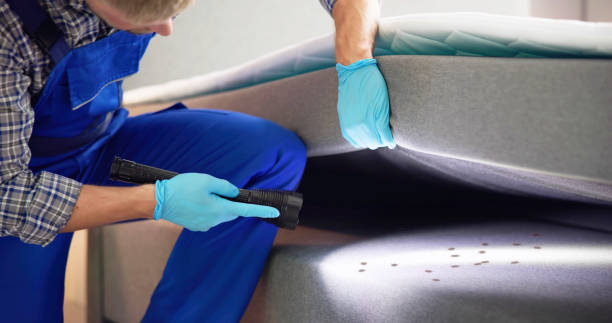 Best Pest Control Near Me  in Williamsburg, FL